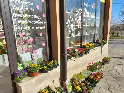Работилница за желания Далия