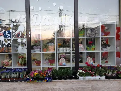 Работилница за желания Далия