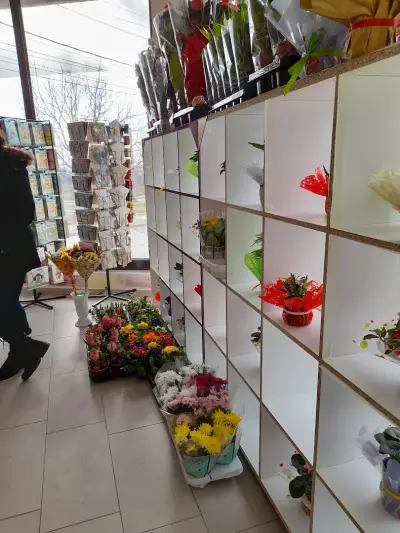 Работилница за желания Далия