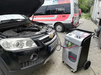 Владимирови безплатна доставка