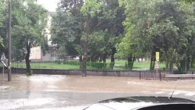 Ауто Хелп Плевен
