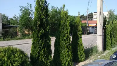 МЦ Омега
