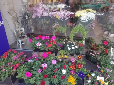 Бутик за цветя "Флорет"