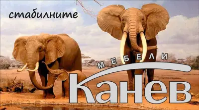 Мебели Канев