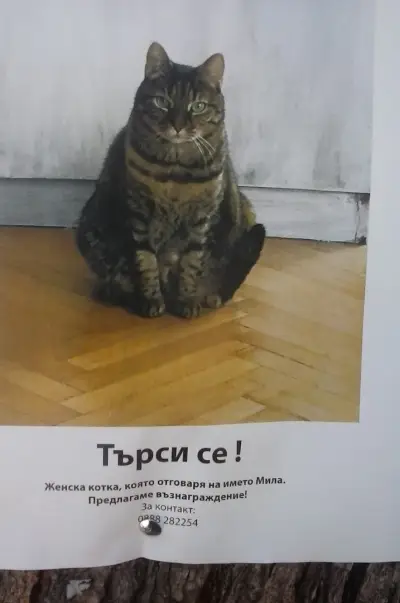 Дичо Глухов