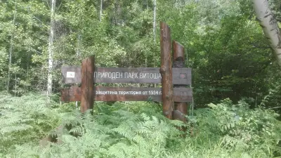 Магазин "БОР"