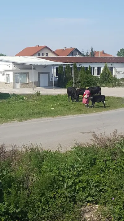 Жетом-Груп ЕООД
