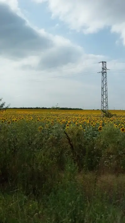 Офис Строй М_62