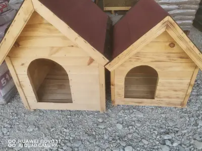 MAXBAU 01 LTD