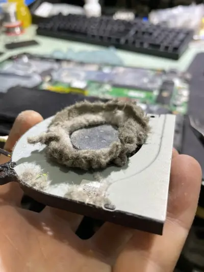 BSauto сервиз харманли