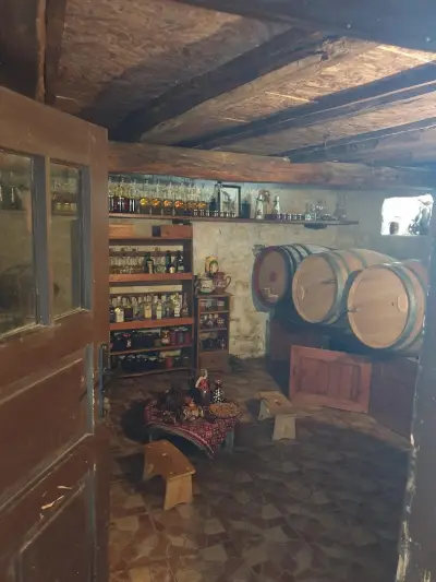 Клуб „Плиска представя“