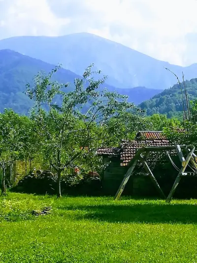 Roden Dom Guest House