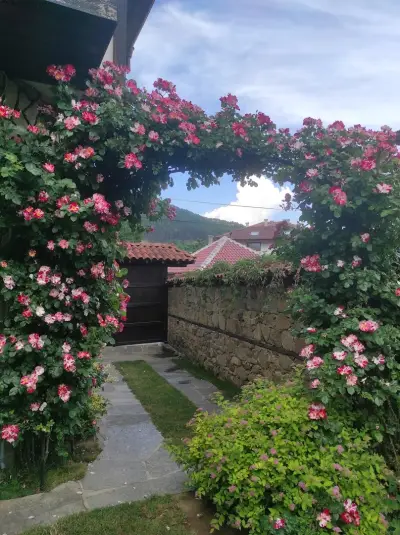 Guest House Stara Planina