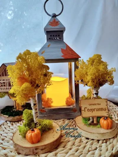 Aurora Crafts