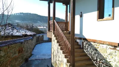 Боримечковата къща