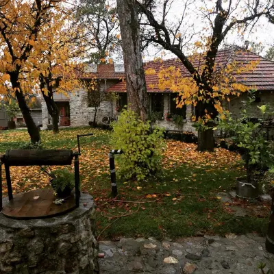Guest House Podkovite