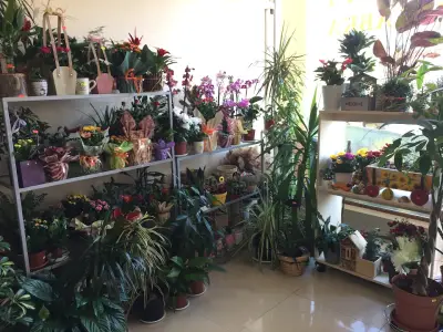 Магазин за цветя и сувенири