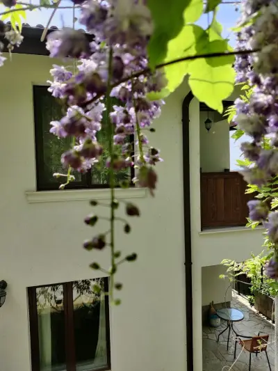 Cloudbase Guesthouse