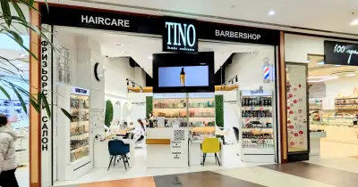 TINO