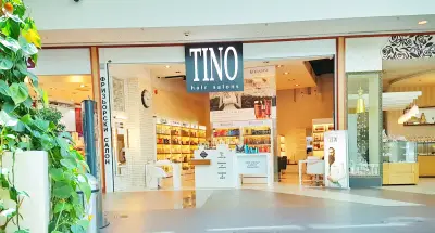 TINO