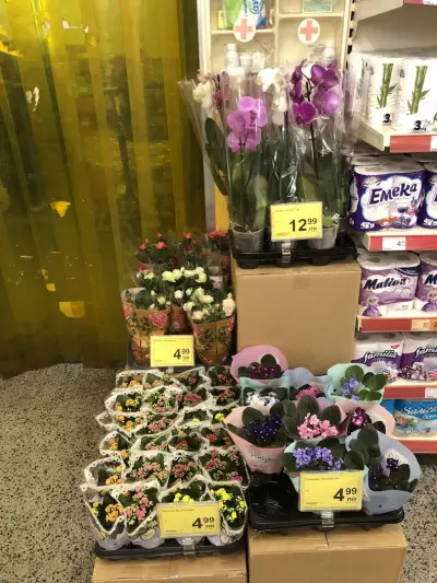 T MARKET