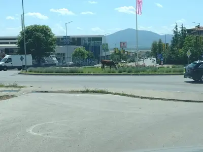 Стройцентър СПС Комерс