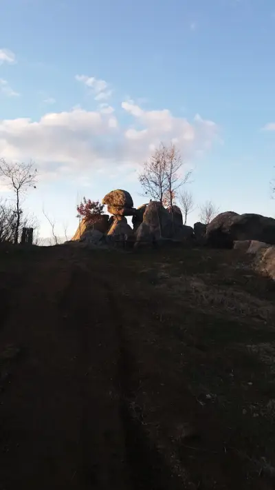 Боби Паркинг бл. 74