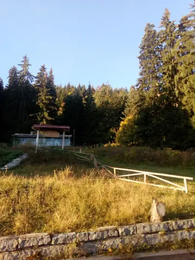Платен паркинг