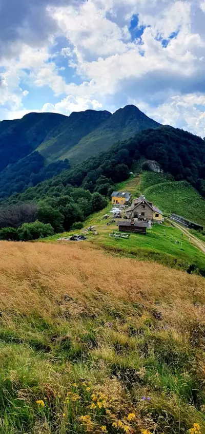 Ню Френдс травел