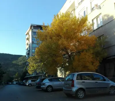 Fashionzona