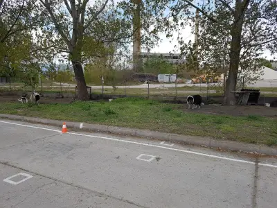 СПИДИ Пазарджик