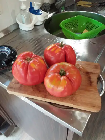 СПИДИ СИМИТЛИ