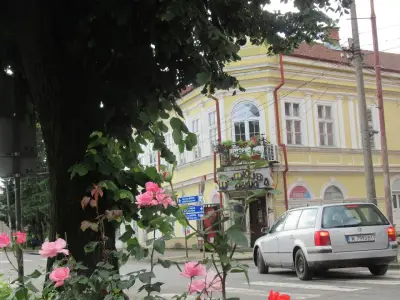 СПИДИ БЕРКОВИЦА - АЛЕКСАНДРОВСКА (УЛ.)