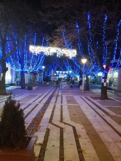 ЛИВИА-НИК ООД