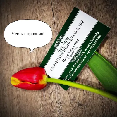 Translation & Legalization Agency ValMon