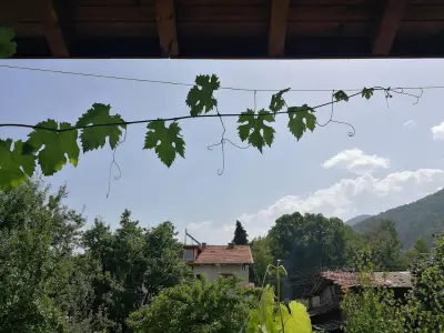 Къща за гости Данаилови