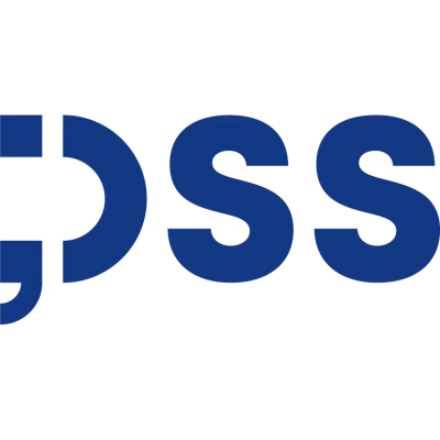 DSS - Digital and Software Solutions ltd.