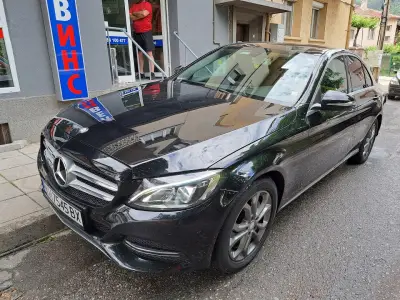 Лев Инс Дупница