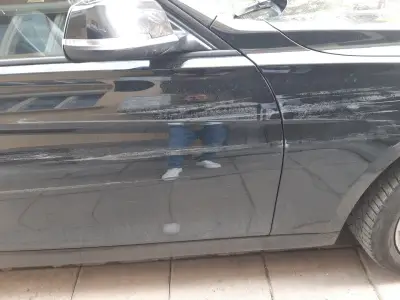 Лев Инс Дупница