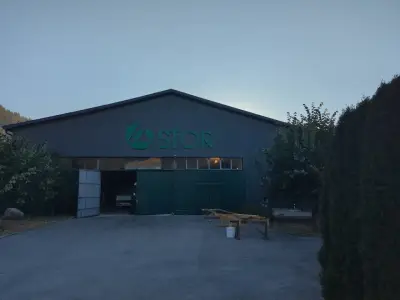 СТОР ООД