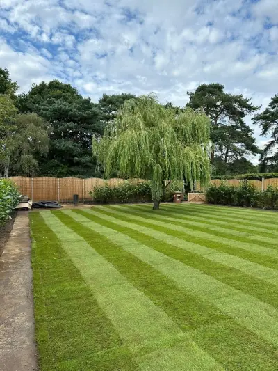 GREEN At HOME