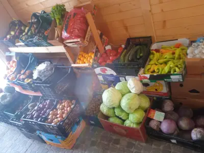 Плод и Зеленчук