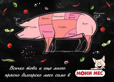 Мони Мес