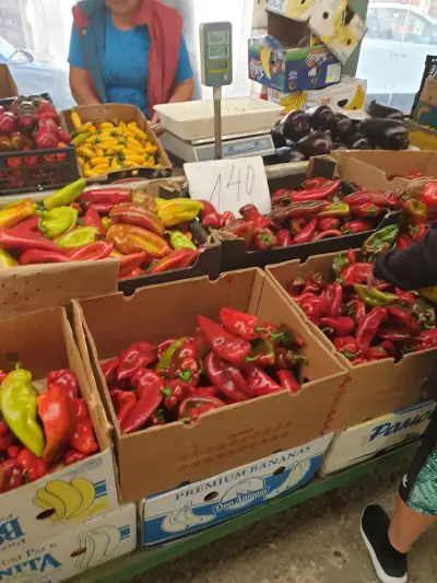 Vegetable Market