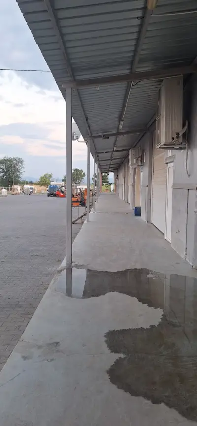 Лонг фреш трейд ЕООД