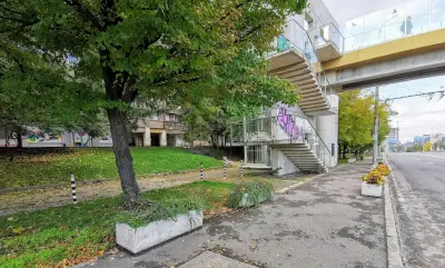 Арбикас ООД