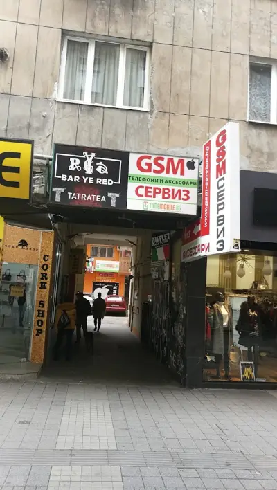ДжиЕсЕм сервиз БГ