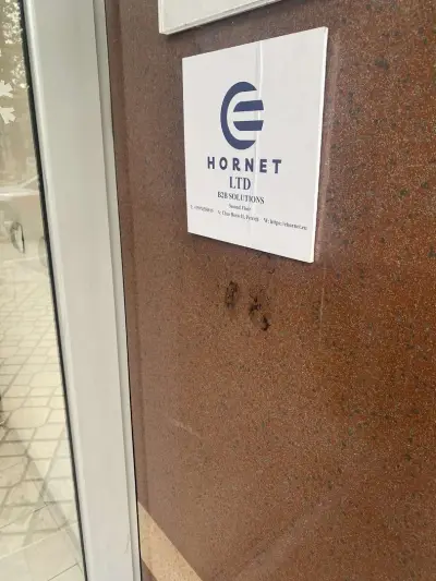 Ehornet Ltd