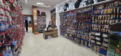 Туич фишинг