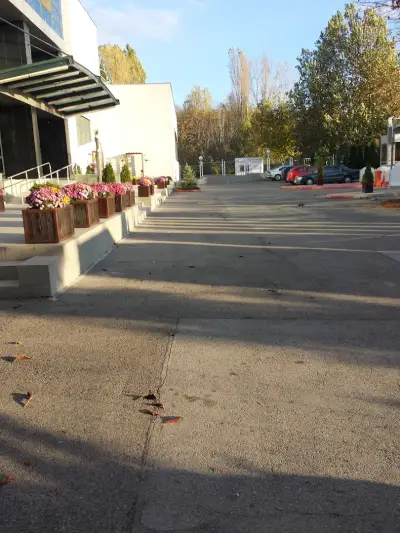 Български Спортен Тотализатор